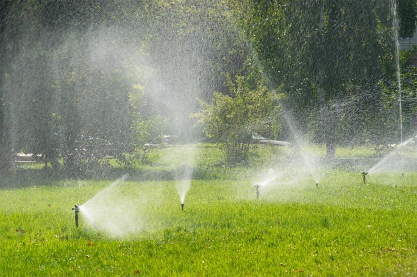 VOUS VOULEZ AVOIR VOTRE FORAGE, ECONOMISER  DE
L EAU, ARROSER VOTRE 
JARDIN SANS COMPTER... APPELEZ MOI.